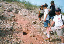 The hole in the ground is from a deser tortoise.